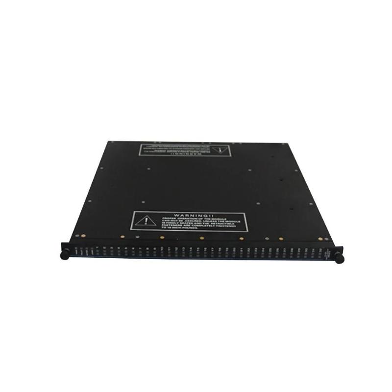 Triconex 3674 | Dual Digital Output Module Original