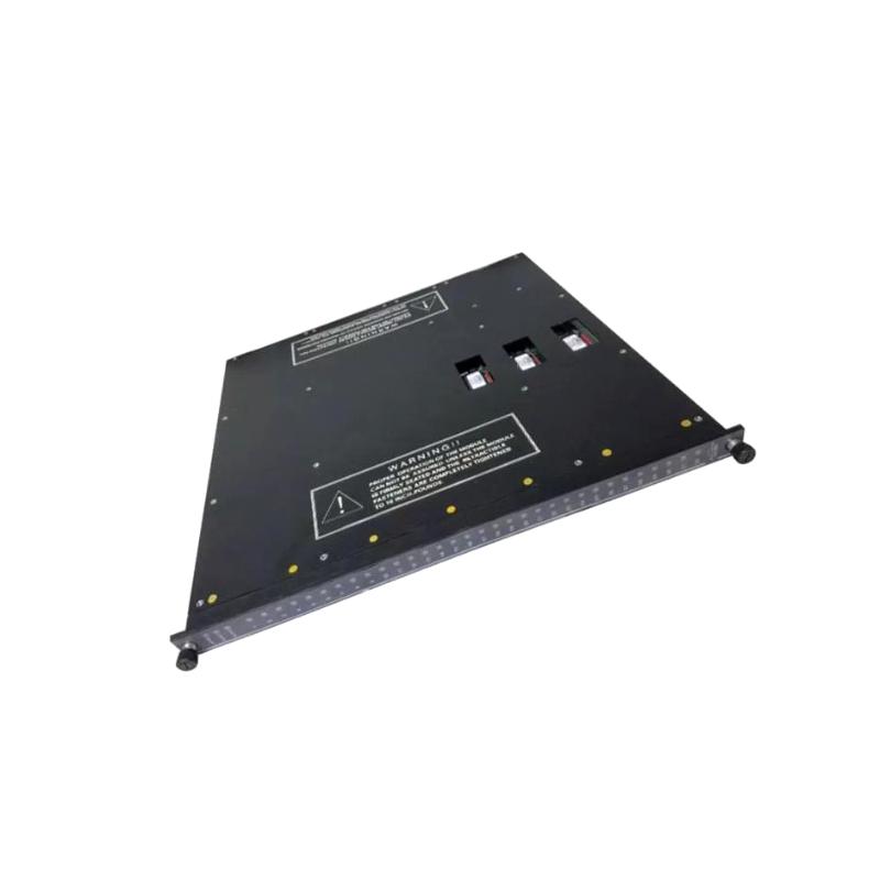 Triconex 3674 | Dual Digital Output Module Original