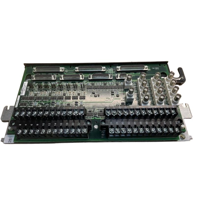 GE IS200TVIBH2BBB | Terminal Vibration Board Shelf life 1 year