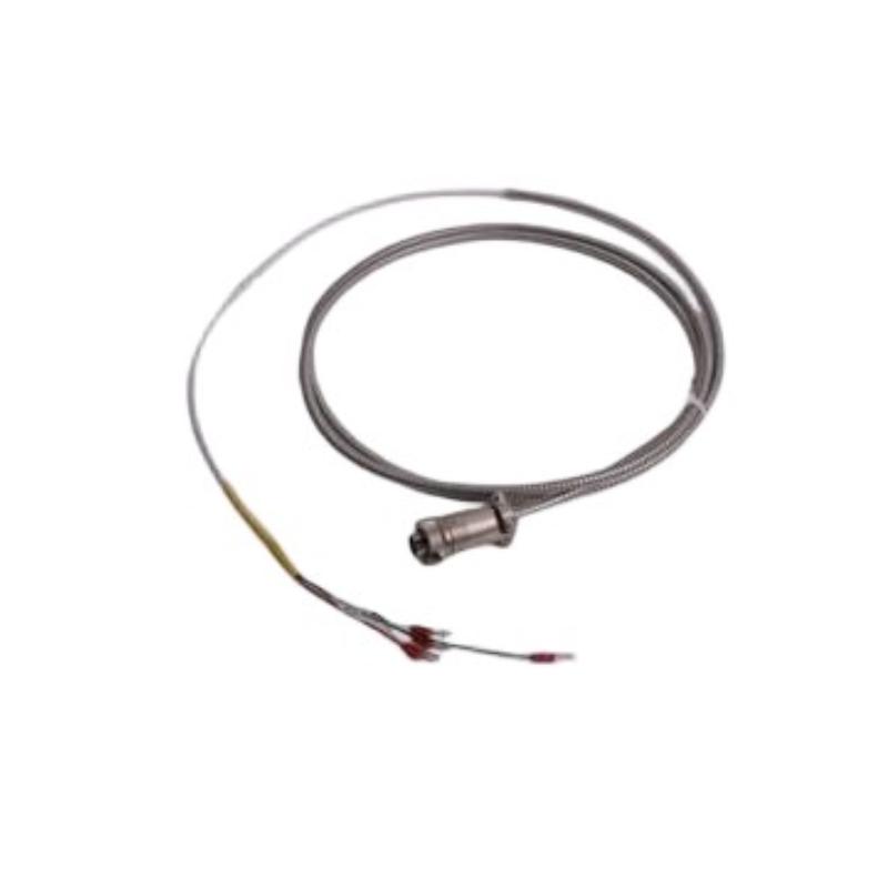 Bently Nevada 16710-83 | Interconnect Cable Trusted supplier