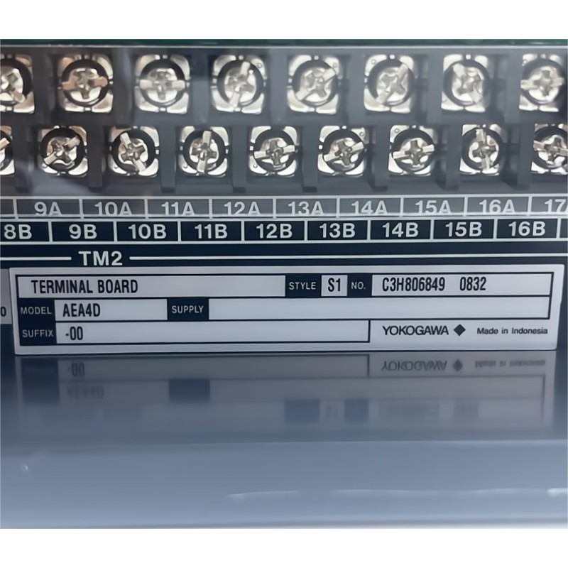 Yokogawa AEA4D-00 Terminal Board