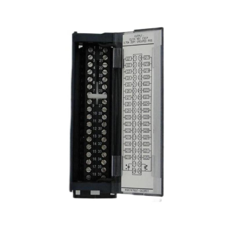GE IC693MDL754 Positive/Negative Logic Output Module