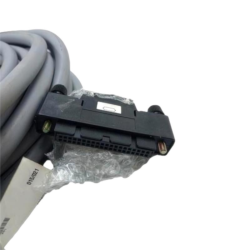 Yokogawa KS1-10 Signal Cable