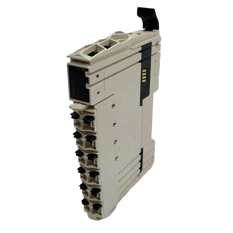 Schneider TM5SAI2H Analog Input Module