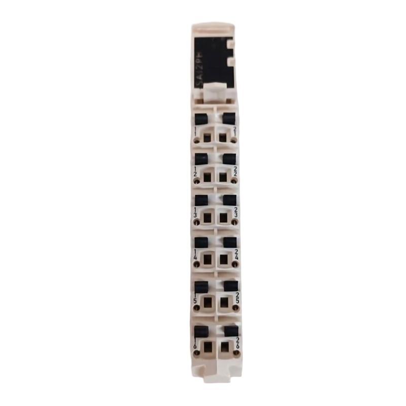 Schneider TM5SAI2PH Analog Input Module