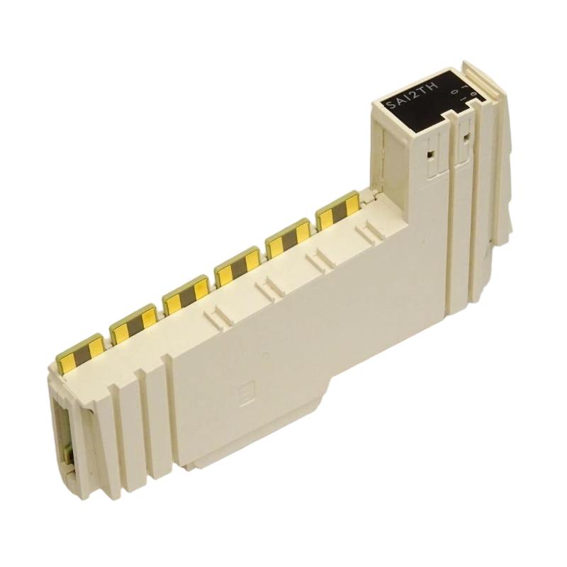 Schneider TM5SAI2TH Analog Input Module