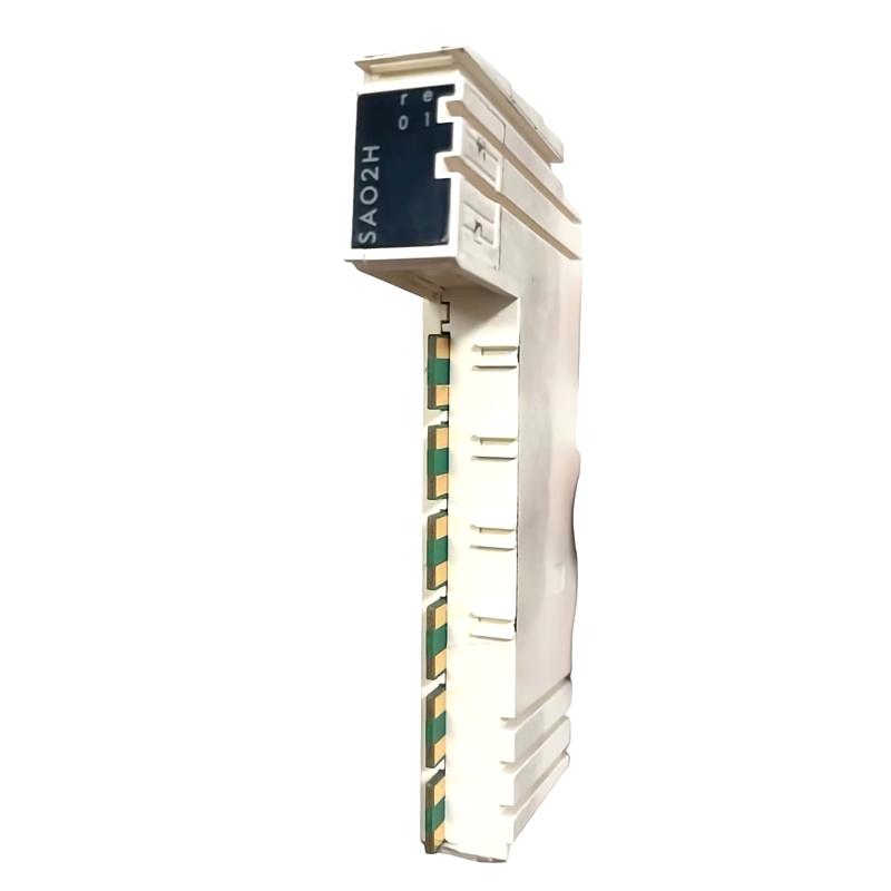 Schneider TM5SAO2H Analog Output Module